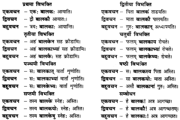 CBSE Class 11 Sanskrit शब्दरूपाणि 5