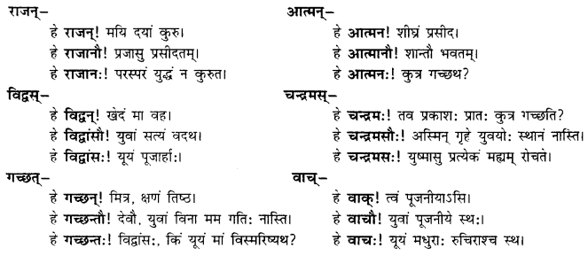 CBSE Class 11 Sanskrit शब्दरूपाणि 50