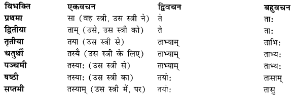 CBSE Class 11 Sanskrit शब्दरूपाणि 53