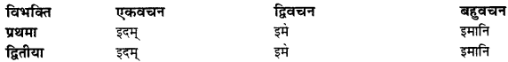 CBSE Class 11 Sanskrit शब्दरूपाणि 62