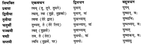CBSE Class 11 Sanskrit शब्दरूपाणि 66