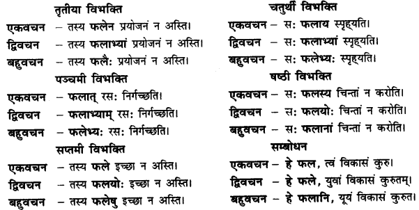 CBSE Class 11 Sanskrit शब्दरूपाणि 7