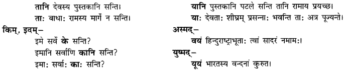 CBSE Class 11 Sanskrit शब्दरूपाणि 74