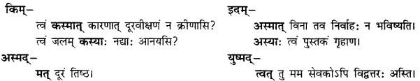 CBSE Class 11 Sanskrit शब्दरूपाणि 79