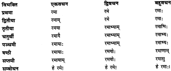 CBSE Class 11 Sanskrit शब्दरूपाणि 8