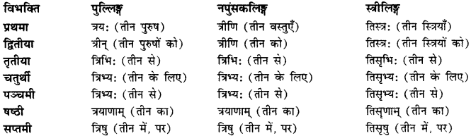 CBSE Class 11 Sanskrit शब्दरूपाणि 85