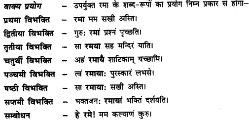 CBSE Class 11 Sanskrit शब्दरूपाणि 9
