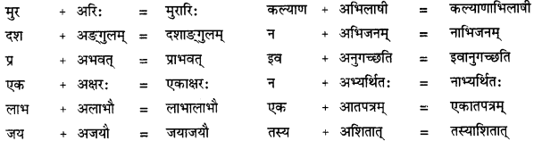 CBSE Class 11 Sanskrit सन्धिः 1