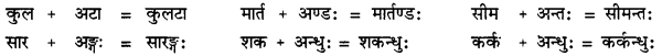 CBSE Class 11 Sanskrit सन्धिः 12