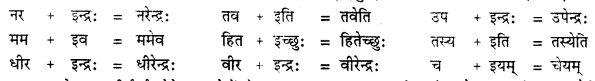 CBSE Class 11 Sanskrit सन्धिः 13