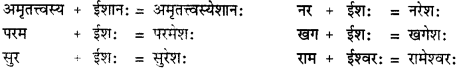 CBSE Class 11 Sanskrit सन्धिः 14
