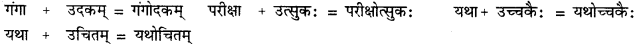 CBSE Class 11 Sanskrit सन्धिः 19