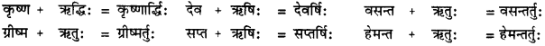 CBSE Class 11 Sanskrit सन्धिः 21