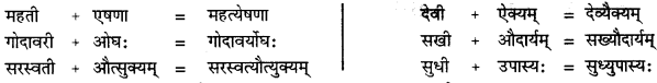 CBSE Class 11 Sanskrit सन्धिः 26