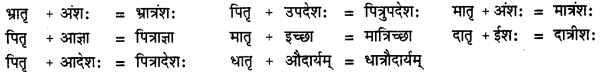 CBSE Class 11 Sanskrit सन्धिः 28