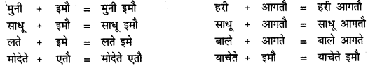 CBSE Class 11 Sanskrit सन्धिः 30