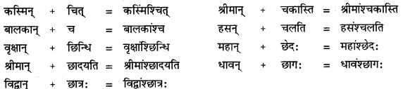 CBSE Class 11 Sanskrit सन्धिः 31