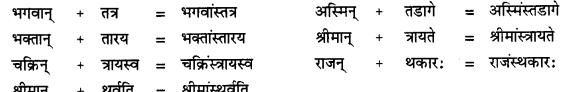 CBSE Class 11 Sanskrit सन्धिः 33