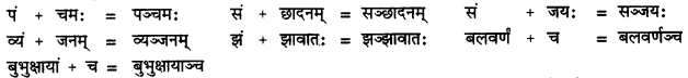 CBSE Class 11 Sanskrit सन्धिः 36
