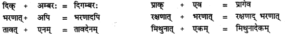 CBSE Class 11 Sanskrit सन्धिः 41