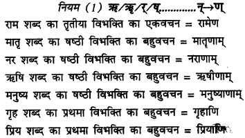CBSE Class 11 Sanskrit सन्धिः 42