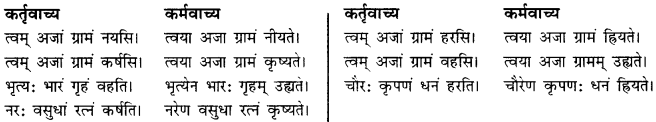 CBSE Class 11 Sanskrit सामान्य-वाच्य परिवर्तनम् 10
