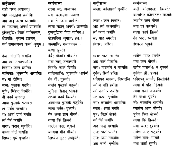 CBSE Class 11 Sanskrit सामान्य-वाच्य परिवर्तनम् 13