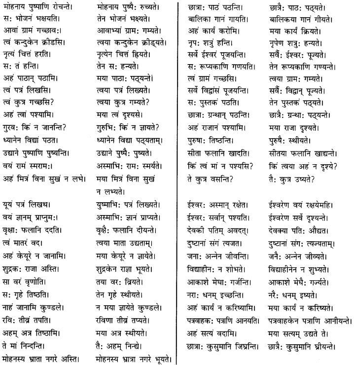 CBSE Class 11 Sanskrit सामान्य-वाच्य परिवर्तनम् 14