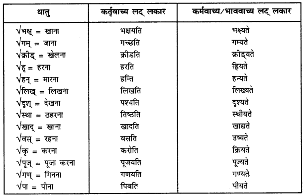 CBSE Class 11 Sanskrit सामान्य-वाच्य परिवर्तनम् 2