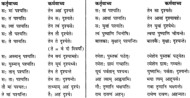 CBSE Class 11 Sanskrit सामान्य-वाच्य परिवर्तनम् 6