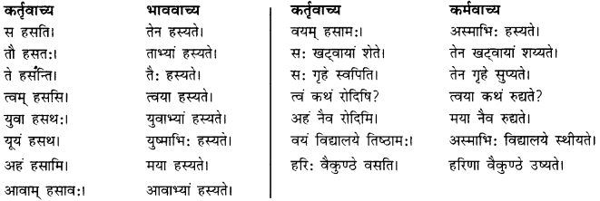 CBSE Class 11 Sanskrit सामान्य-वाच्य परिवर्तनम् 8