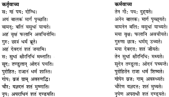 CBSE Class 11 Sanskrit सामान्य-वाच्य परिवर्तनम् 9
