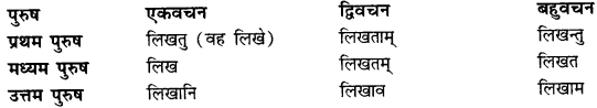 CBSE Class 11 Sanskrit धातुरूपाणि 114