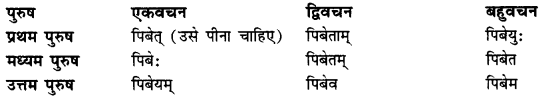 CBSE Class 11 Sanskrit धातुरूपाणि 30