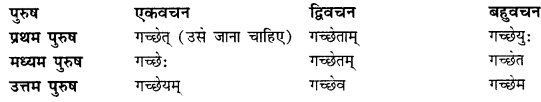CBSE Class 11 Sanskrit धातुरूपाणि 36