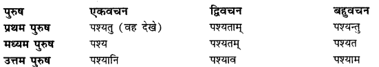 CBSE Class 11 Sanskrit धातुरूपाणि 46