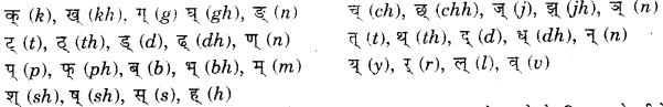 CBSE Class 11 Sanskrit वर्णानाम् उच्चारणस्थानम् 1