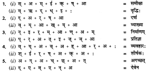 CBSE Class 11 Sanskrit वर्तनी 10