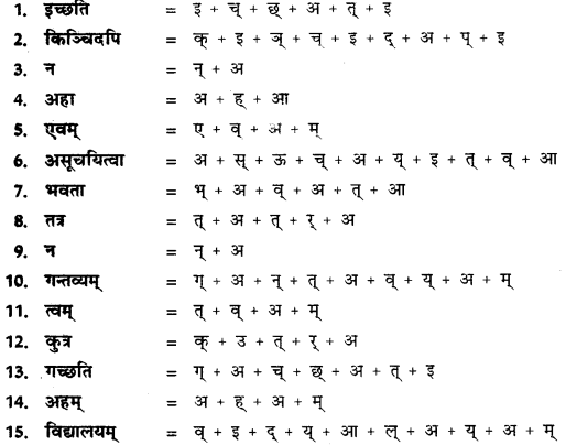 CBSE Class 11 Sanskrit वर्तनी 4