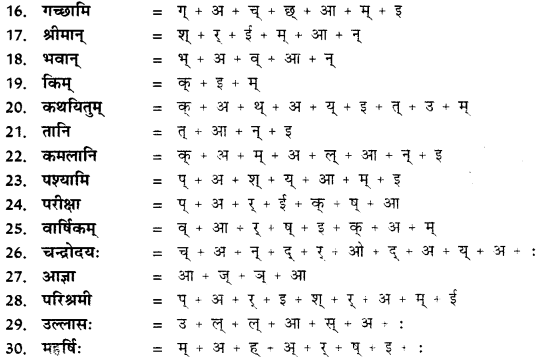 CBSE Class 11 Sanskrit वर्तनी 5