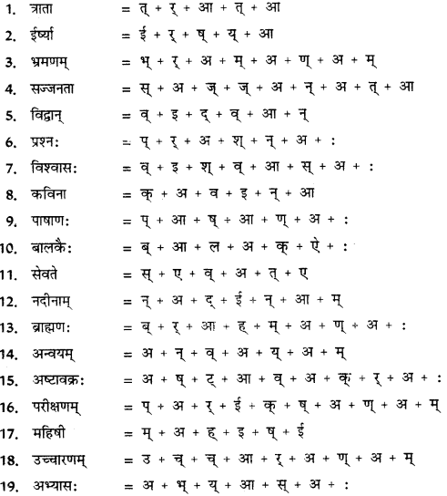 CBSE Class 11 Sanskrit वर्तनी 8