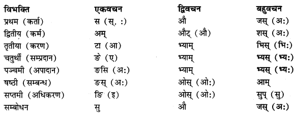 CBSE Class 11 Sanskrit शब्दरूपाणि 1