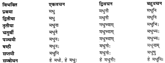 CBSE Class 11 Sanskrit शब्दरूपाणि 22