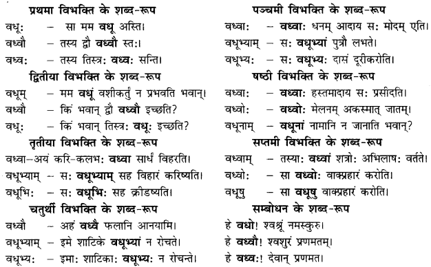 CBSE Class 11 Sanskrit शब्दरूपाणि 27