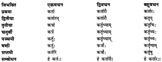 CBSE Class 11 Sanskrit शब्दरूपाणि 30