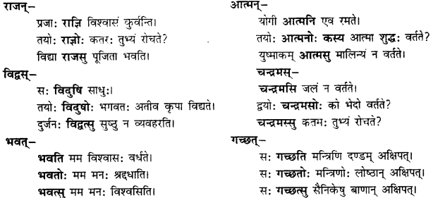CBSE Class 11 Sanskrit शब्दरूपाणि 48