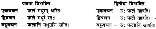 CBSE Class 11 Sanskrit शब्दरूपाणि 6