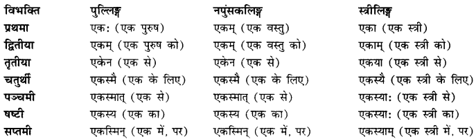 CBSE Class 11 Sanskrit शब्दरूपाणि 82
