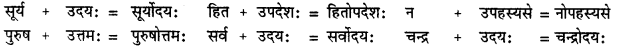 CBSE Class 11 Sanskrit सन्धिः 17