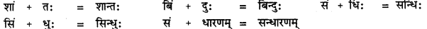 CBSE Class 11 Sanskrit सन्धिः 38